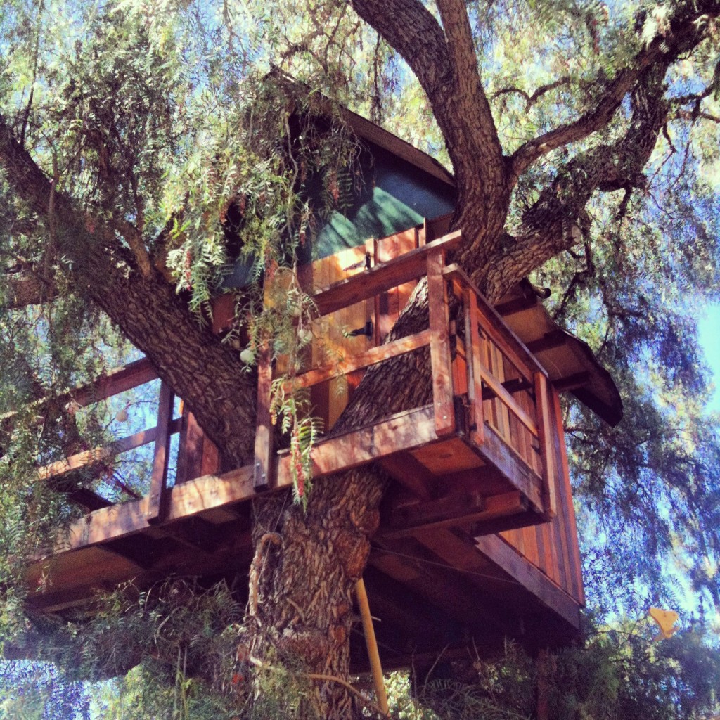 Lizzie's Treehouse
